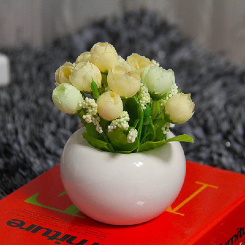 Tulip (Champagne color)