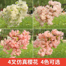 ����ѻ�֦��c�ѻ����滨�һ�֦�����b������͏d�ٻ��S�����l