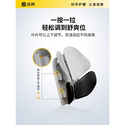 Seat Lumbar Support, Waist support