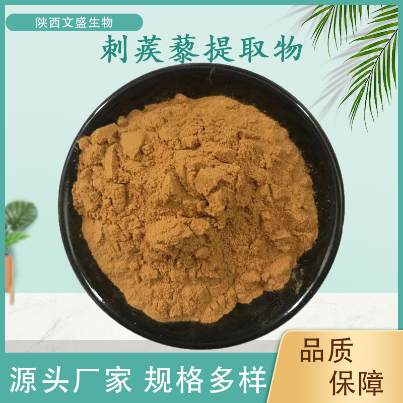 刺蒺藜提取物刺蒺藜皂甙 刺蒺藜粉 文盛生物供应 现货