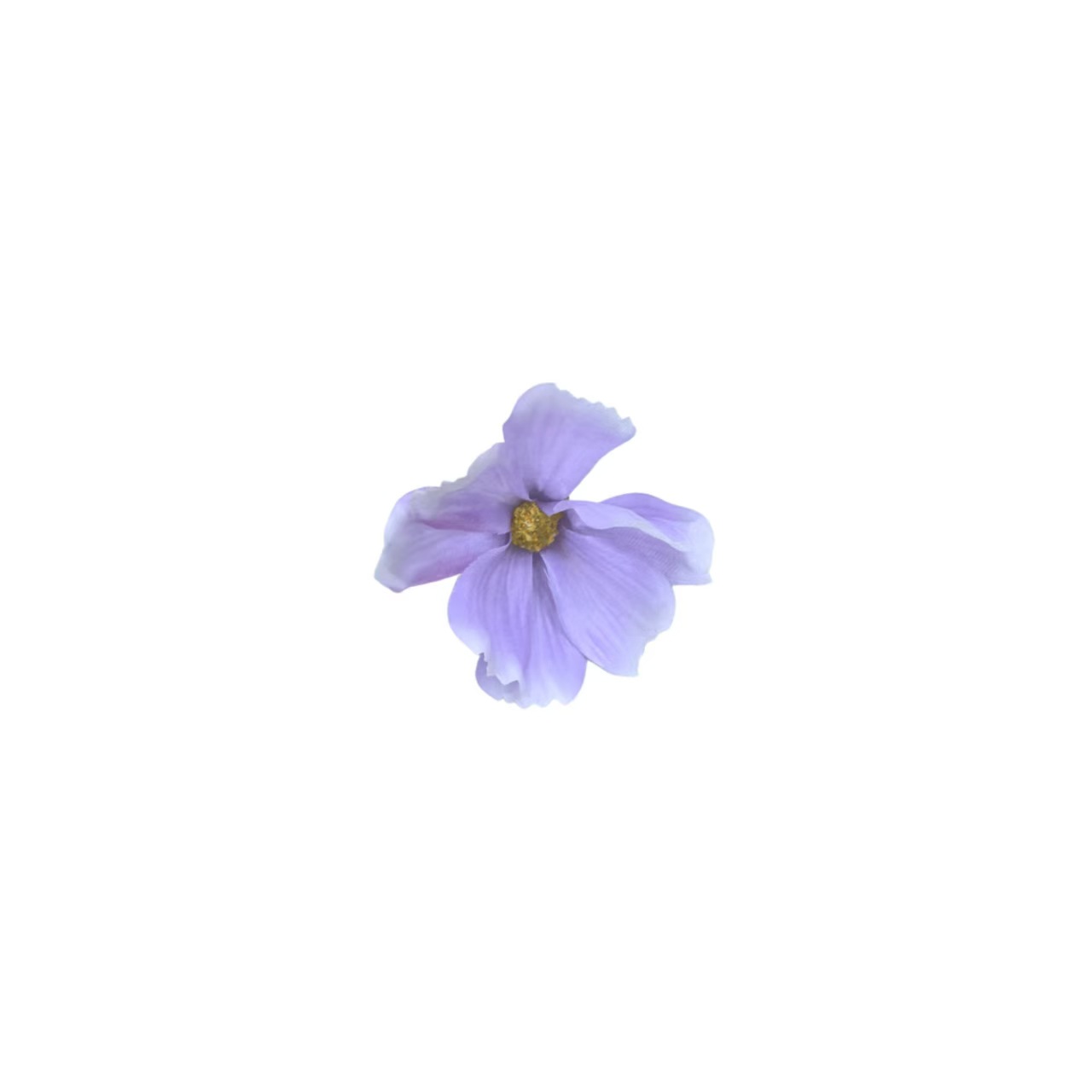 보라