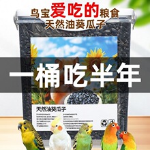 鹦鹉黑瓜子零食鸟粮珍珠虎皮油葵瓜子训练用品鸟饲料八哥仓鼠瓜子