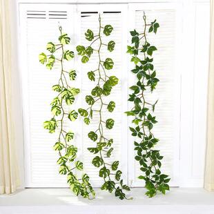 ����ڒ������~�ٗl1��2 1��7�ָ��z�Ҿ��b羳؛Դ����ֲ����