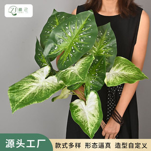 �ָз�������~�����~�Ҿ��҃��b@ˇ�廨�~��ֲ��쾰���^�~