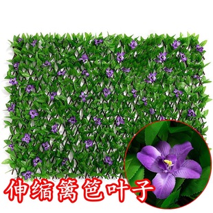 ����ř������~�ӾGֲͥԺ�b�ֲ�����ϼٻ���sľ���ڻ��@���o��