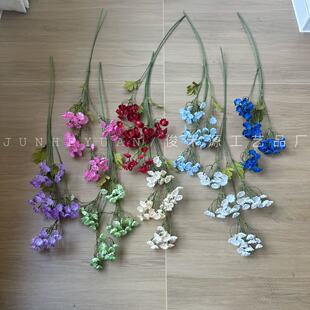 �����ҷ��滨��Y�þƵ겼���bٻ����n�ݻ�c�����������仨��