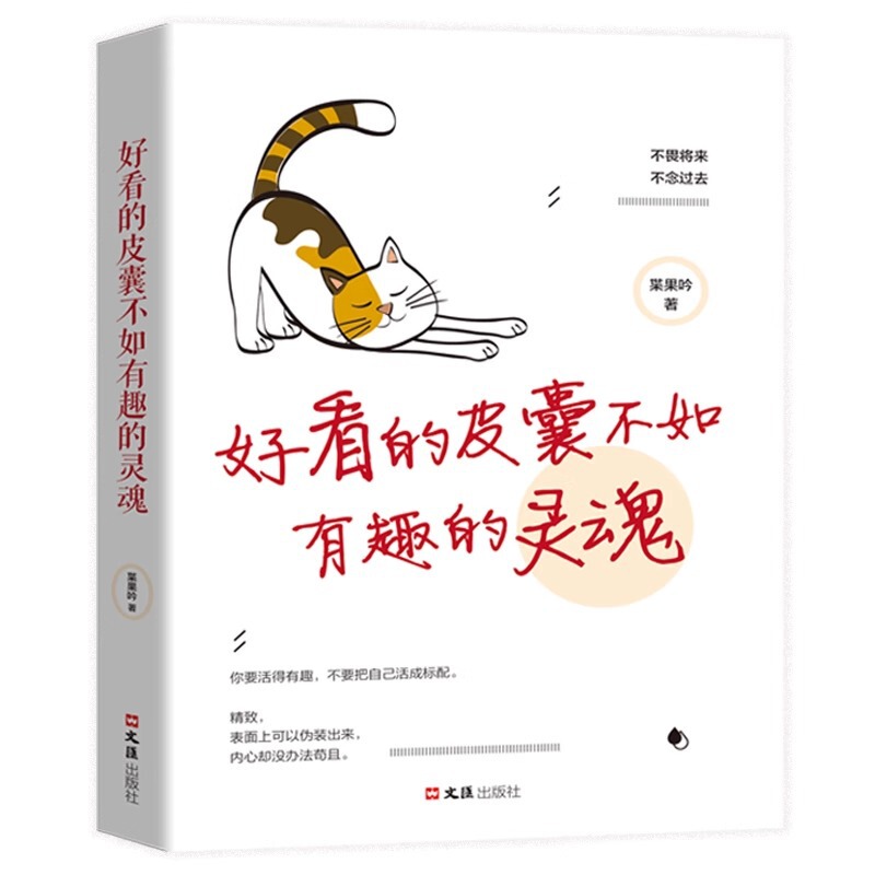 Good-looking skin is not as good as interesting soul youth literature women's success inspirational best-selling books