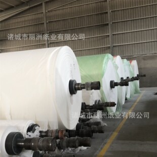 诸城市丽洲纸业有限公司