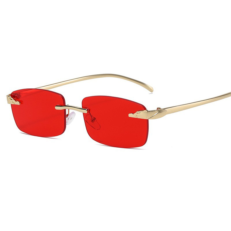 Leopard Head Frameless Sunglasses Retro Geometric Pattern Women's Outdoor Casual Unisex_voghion.com
