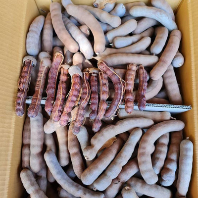 Sweet and sour wholesale Full container 20 Place of Origin Wholesale volume Great Discount Electricity supplier Place of Origin Supplying Large fruit quality ensure