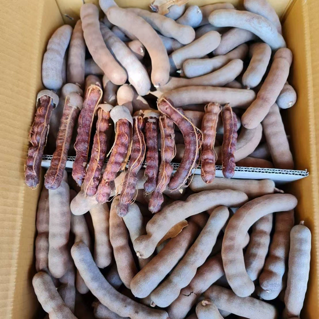 Оптовая продажа кисло-сладких фруктов в целых коробках, 10kg страны происхождения, большие оптовые объемы со скидками, прямые поставки с места происхождения, крупный размер фруктов, гарантированное качество.