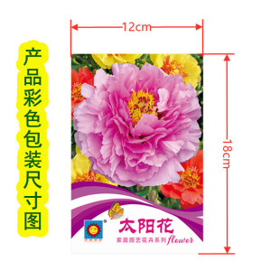 ֲ�ﻨ�ܷN��ͥԺ�̨�Nֲ����õ�廨��˹�մ��b�����׻�ˮ��N��