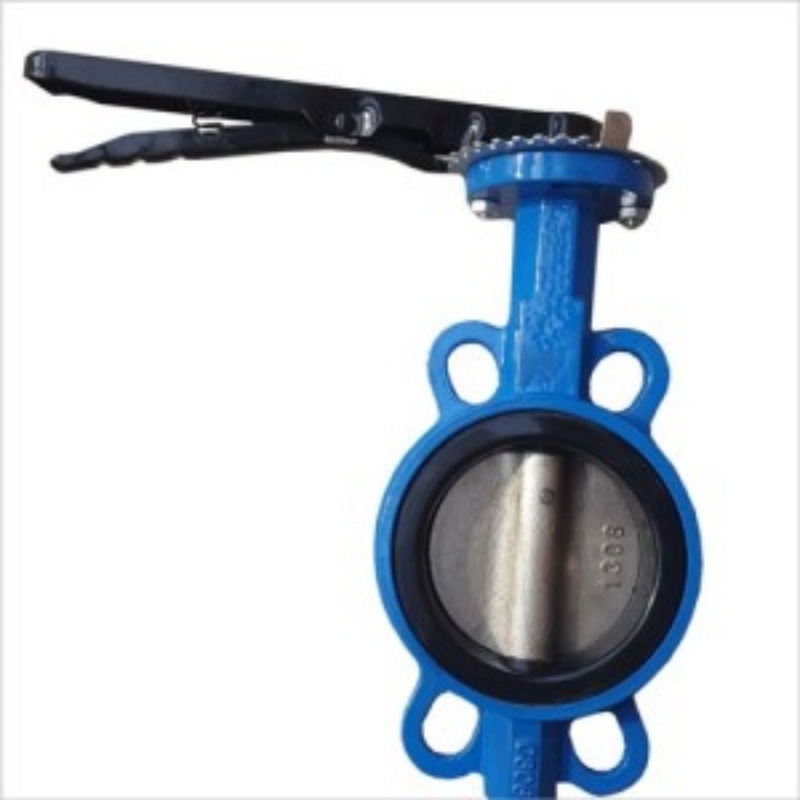 D371J-10C DN300手柄蝶阀对夹式衬胶蝶阀