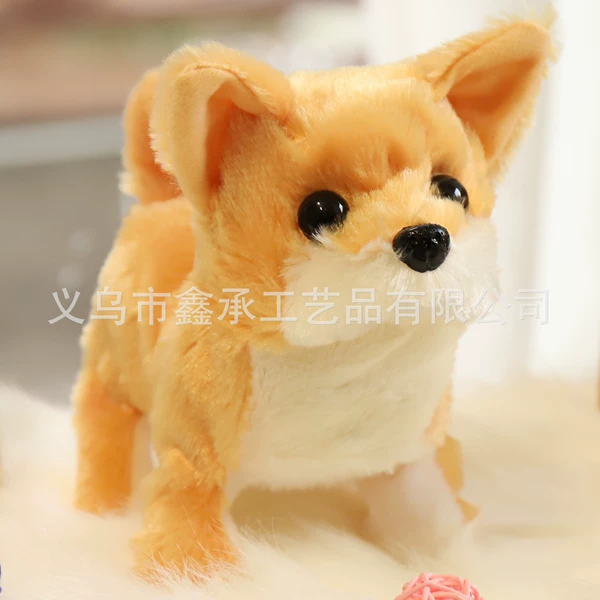 Shiba Inu