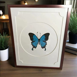 相框、画框;卡纸;框饰配件