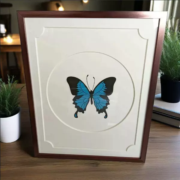 动物卡纸相框 墙上挂件装饰品 客厅摆件工艺品收藏品生日结婚礼物