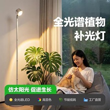 ���ֲֵ���a�����̫ꖹ��V�҃ȶ�����ɫ�m���Շ����Gֲ���L��
