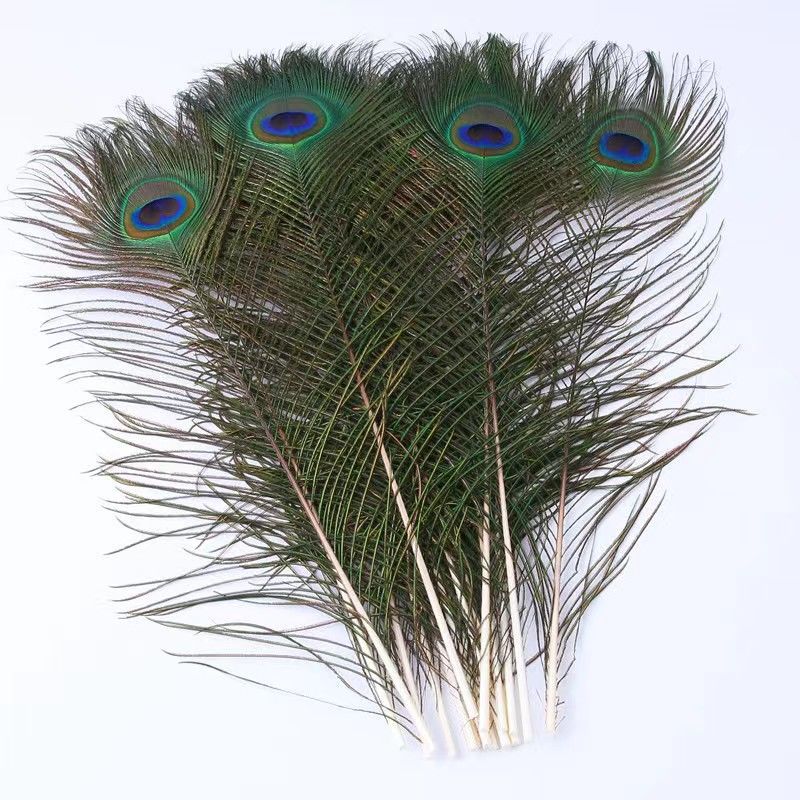 Plumas de pavón real plumas naturales materiales DIY de alta calidad decoración porche ornamentos plumas verdaderas decoración para el hogar para el budista plumas de pavón