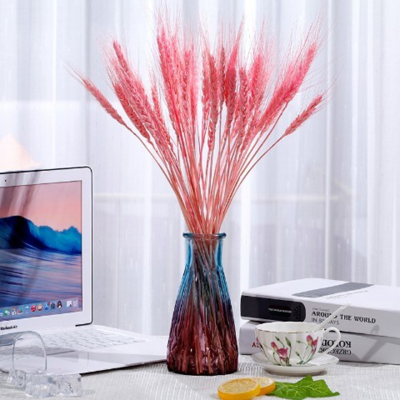 연한 녹색 분홍색 밀 귀 - 꽃병 없음