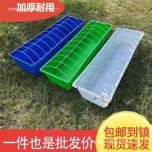 �¿��L���μӺ����Zʳ��ι�uιʳ���uʳ���ϲ�ţ��������ò�����