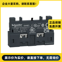 ʩ�͵�늚� �M��GV2���� �o���|�cģ�K GV-AE1 | GVAE1