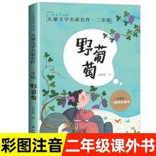 野葡萄 注音版 二年级必读课外书 小学生课外推荐阅读书籍