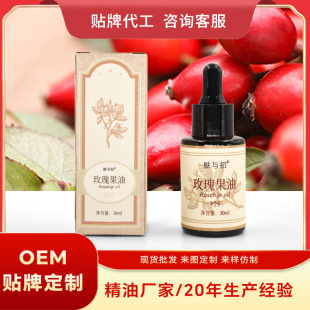 õ����� �S�ҹ��� �o�w���A�� �䉺ե Դ�^���S֧�ִ��l���l