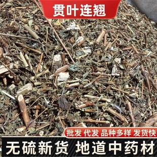 ؞�~�B�N��ș���}�s���ݷ� St John's wort powder؞�~��z��