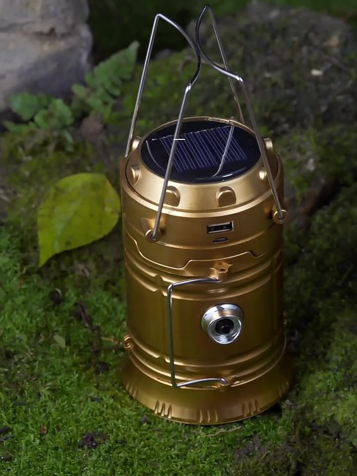 71f1ab99-4021-4d28-8de3-e9077c25f3f3.jpe