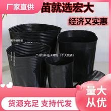 ��ֲ��Դͷ����Ӫ������һ����С�ź������豭���籭���������羳