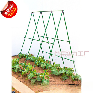 黄瓜爬藤架豆角架杆西红柿架种菜蔬菜搭棚子架植物支撑杆包塑钢管-阿里巴巴