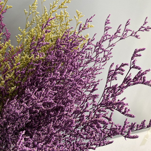 Perennial Love Grass Dried Flowers, Forest Style Real Flower Bouquet, Home Decor Flower Art Floral Arrangement Material, DIY Craft Supplies