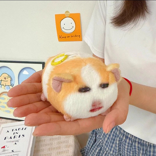 ��Ů�·����m�i������i���ż���ë�q�������l�������նY��