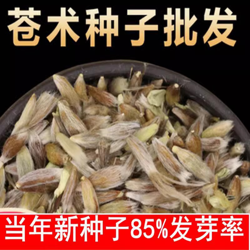新采种子 金线莲种子 南 北苍术丹参党参柴胡桔梗板蓝根种子