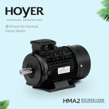����HOYER MOTOR����늙CIE1 IE2 IE3 IE4�F؛���ஐ���X��늄әC