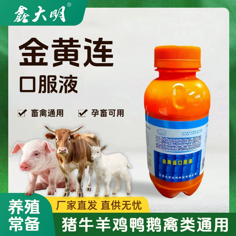 Жидкость для перорального применения Golden Honeysuckle для ветеринарного применения, концентрированная жидкость для кур, уток, гусей, свиней, крупного рогатого скота и овец, жидкий сырой экстракт общей жимолости для удаления тепла.