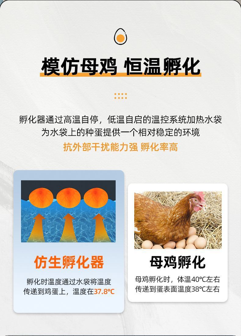 18b796b4-2fdc-492c-a9e3-25e0c75e4351.jpe