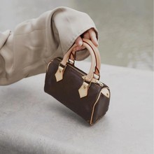 L家2025新款16厘米枕头波士顿nano时尚经典女包包支持一件无H代发