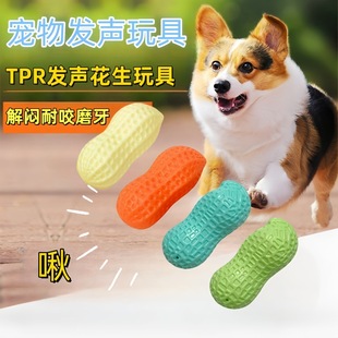 �羳������߻�����ҧĥ�����XTPR�l�����������Ʒ�S�l���