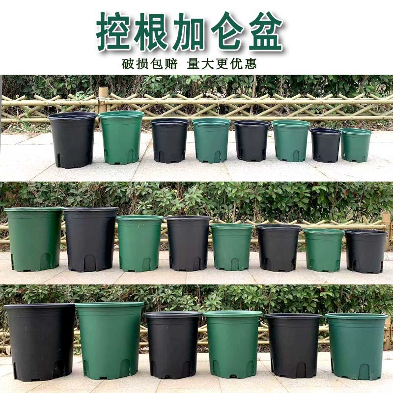 Роза 7 галлонов горшок 3 с контролируемым корнем зеленый горшок черный пластиковый цветочный горшок оптовый контейнер