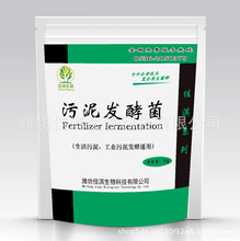 �S�����l����l�;����􄩰l�̈́����섩�������΢�������