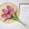 Single rose tulip without packaging
