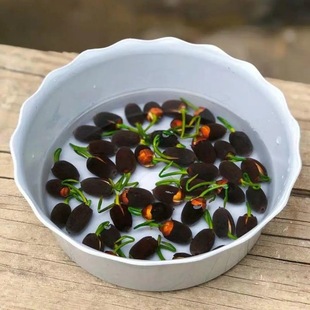 ��ɏˮ��ֲ���҃��⻨�ܾGֲ�ļ��_���N����ˮ�B�ɻ��͏dˮ���Nֲ