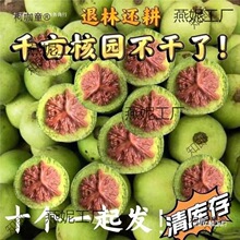 座楼狮子头麒麟纹大官帽青皮文玩核桃赌青皮可能出三棱四棱麦太保