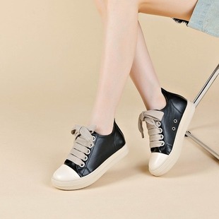 2023�W���羳��Ь����Ь��H��Ь