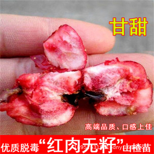 �S��ɽ高���޽��S��ɽ髻���ͥԺ���Ա��Ϸ��Nֲ����Y��������