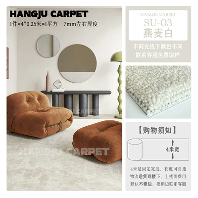 Car Carpet Full Coverage for Bedroom, Living - su-03-oatmeal-white