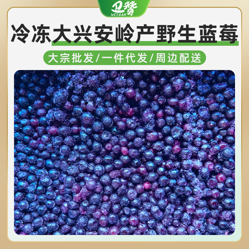 Wild Blueberries from Daxinganling, Freshly Frozen, Seasonally Picked, New Fruit, Suitable for Pregnant Women, Frozen Fruit for Juicing Wild Blueberries from Daxinganling, Freshly Frozen, Seasonally Picked, New Fruit, Suitable for Pregnant Women, Frozen Fruit for Juicing