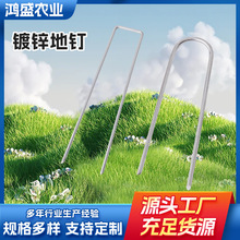 镀锌地钉草皮固定三维网插地U型地钉园艺防风工程专用斜尖钉绿植