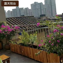 ����ľ�������ͥԺ�Nֲ���L����ľ��������N��������̨����